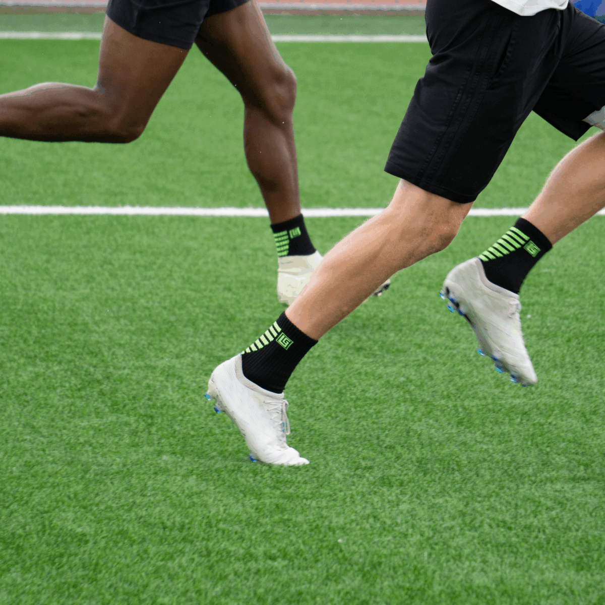 BlackVenom-2 BlackVenom-2