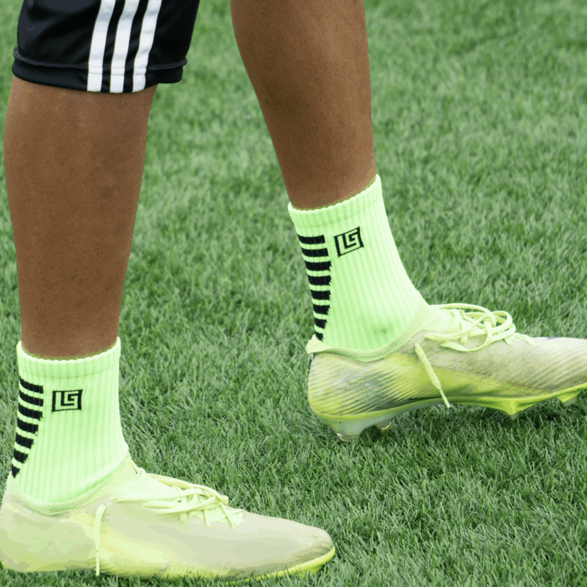 VoltGreen-1 VoltGreen-1