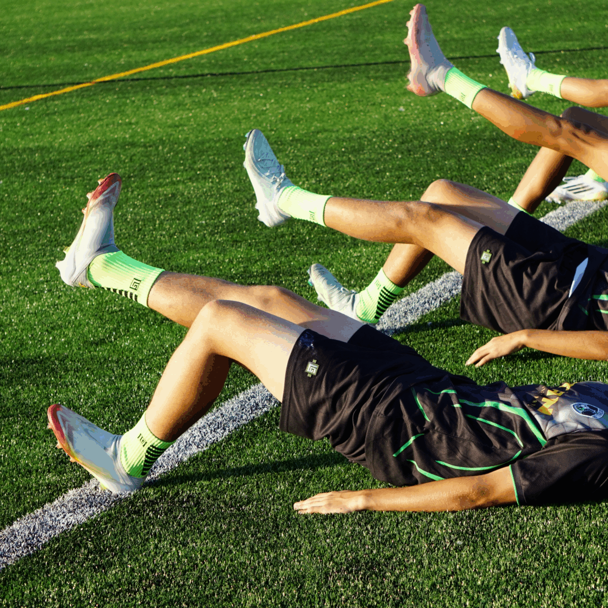 VoltGreen-2 VoltGreen-2